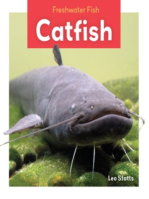 cover image of Catfish